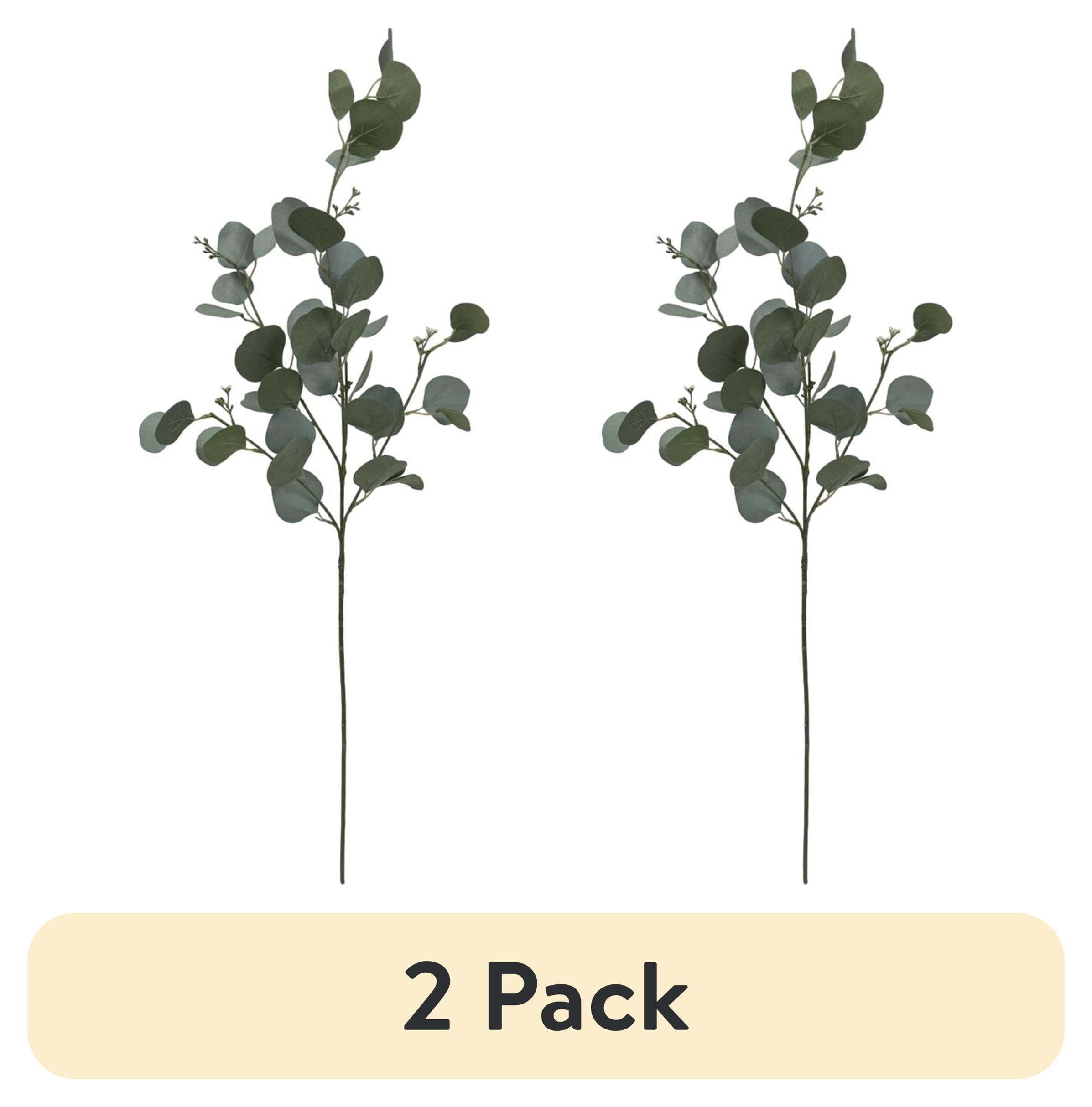 (2 pack) Mainstays Artificial Green Round Leaf Eucalyptus Stem, 34in Tall Floral Picks