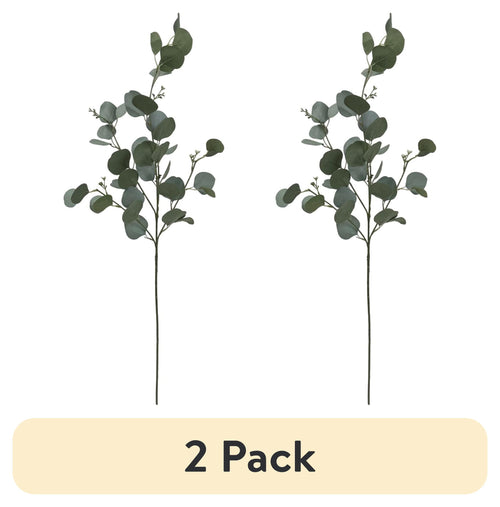 (2 pack) Mainstays Artificial Green Round Leaf Eucalyptus Stem, 34in Tall Floral Picks
